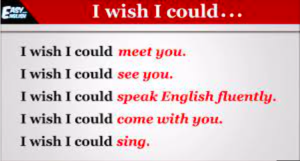 wish/ will